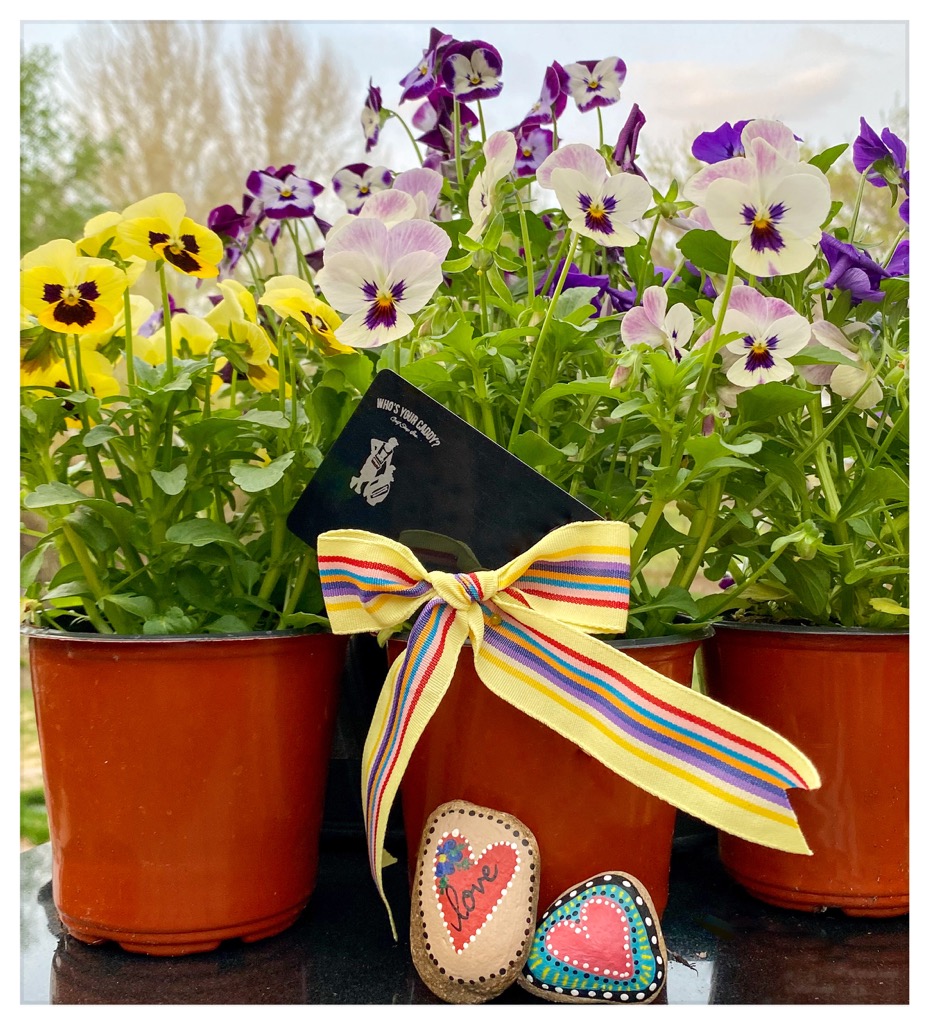2 Days Only Friday &amp; Saturday receive a 4” Viola Annual and a hand painted garden rock with a minimum $50 Gift Card Purchase. We want to help you show Mom how much you care
Pre-order by calling Corey at 403-878-7311
Pick-up or Delivery 
Quantities limited and colours vary
