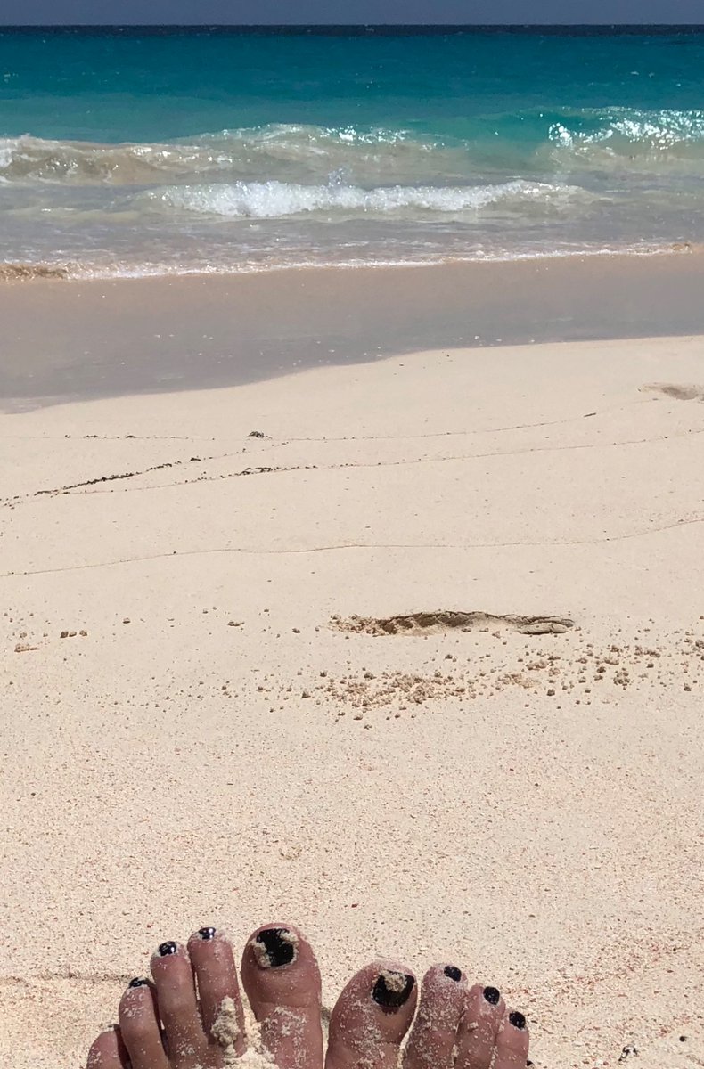 ketchspeak's tweet photo. I ❤️Bermuda - it’s literally paradise - during #StayHome - in my dreams I reside @rosewoodbermuda https://t.co/fnw8R6CTKW