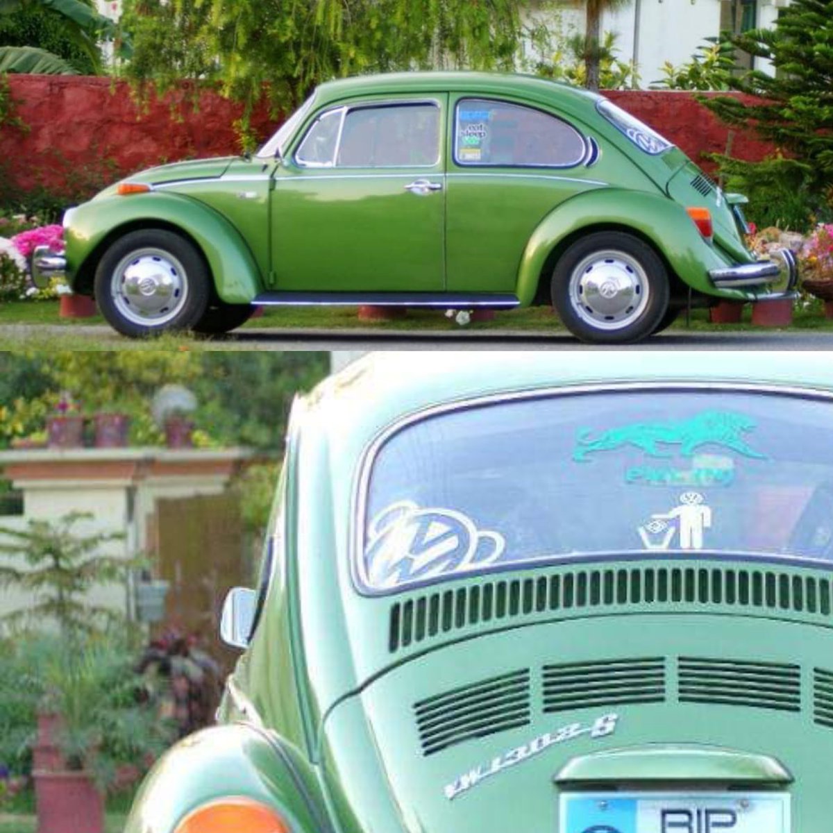 HMCP92's tweet photo. Which color do you like the most on beetle? .

#VW #Volkswagen @vwcares @frraz @vwdrives @VWGroup @vw https://t.co/aLxLwKGtKy