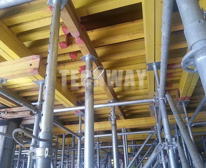 TechwayM's tweet image. #RinglockScaffolding Easy and quick to erection; Excellent stability and bearing capacity

tw-mac.com