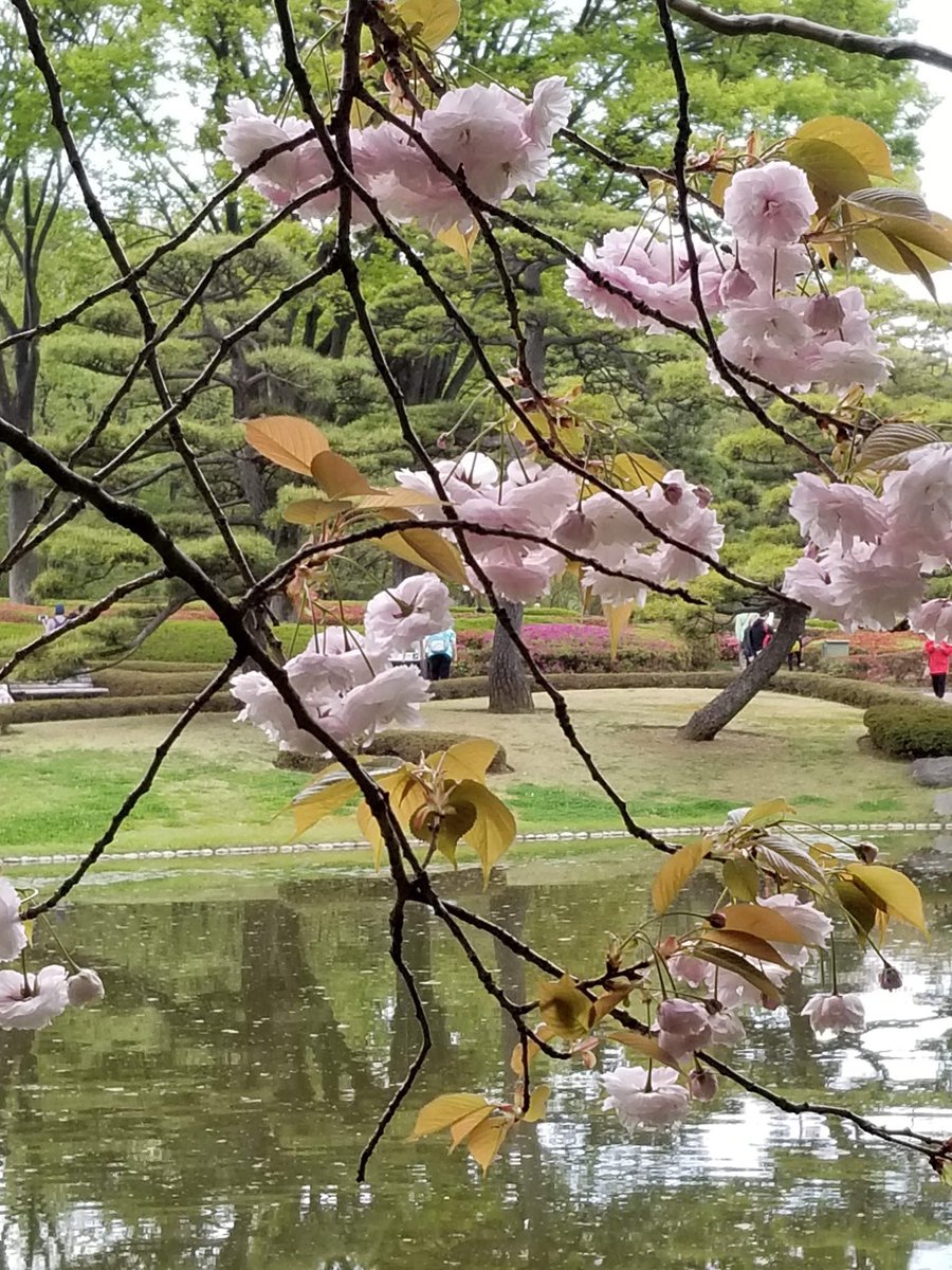 sowewander's tweet photo. T is for #Tokyo https://t.co/WpxW2TzsvC #AlphabetAdventures https://t.co/0wYx3oNBSc