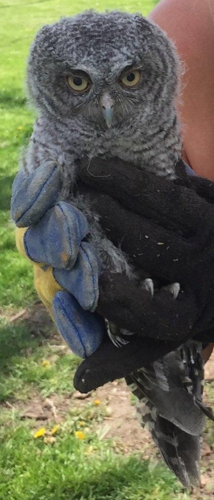 Just another day at the office 😊