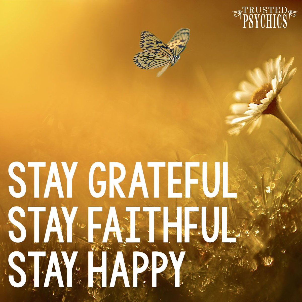 TrustedOz's tweet photo. Wishing you all happiness!!! It’s almost Friday!!! ✨✨

#TrustedPsychics #psychic #wishinghappiness #brightday #positivevibes #positivity #staygrateful #stayfaithful #stayhonest #lovehard #care #bekind https://t.co/OQgm2DtxFt
