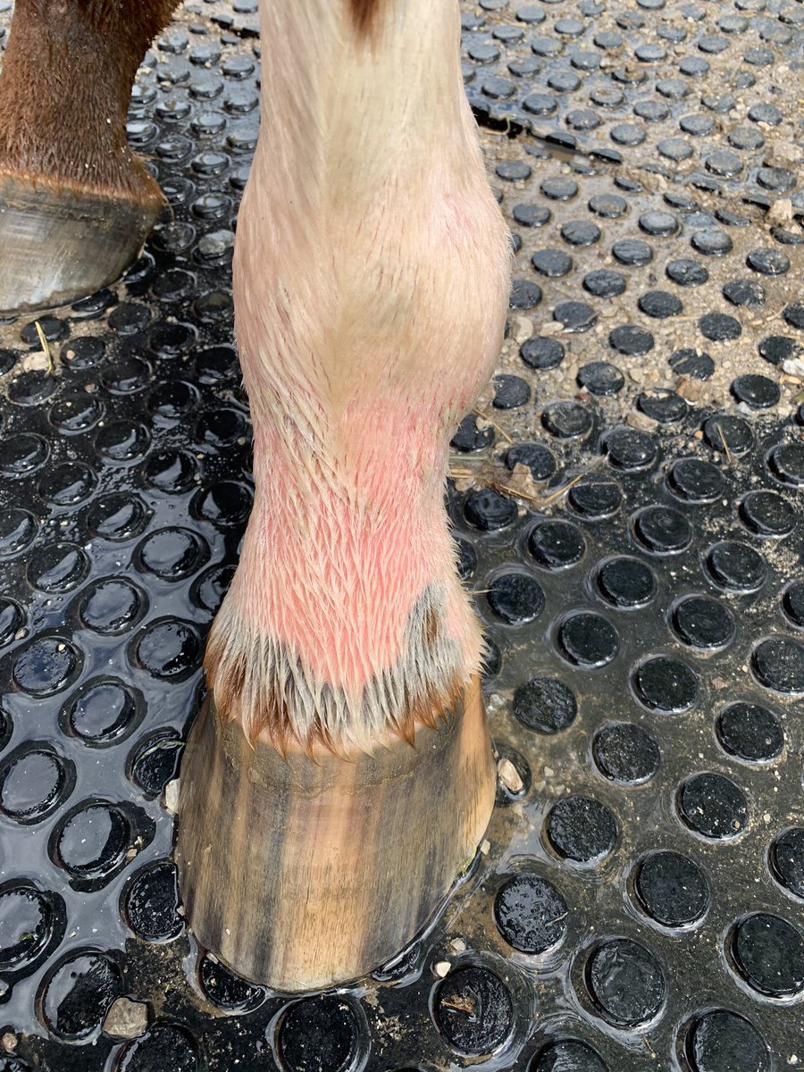 Someone tell me how to make this better 😭😩