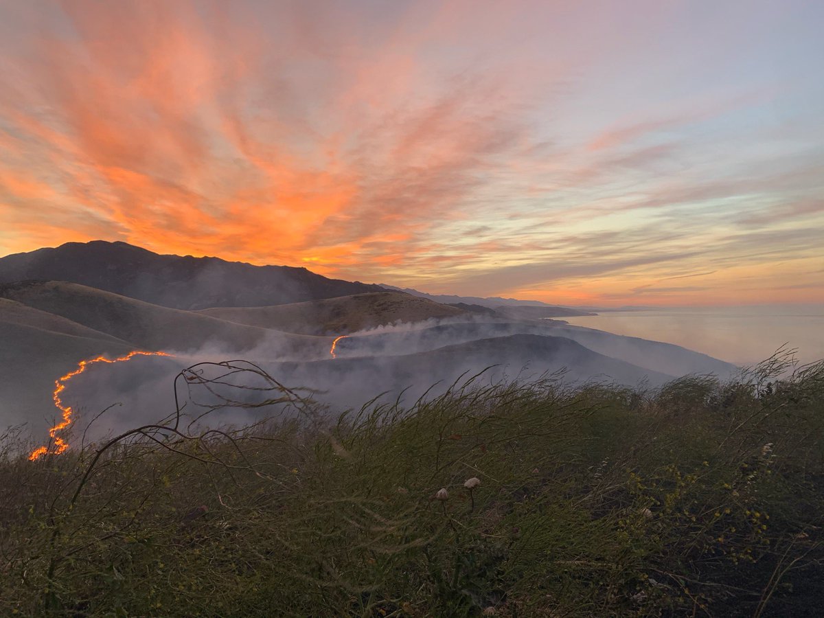 Mark A. Hartwig tweet media