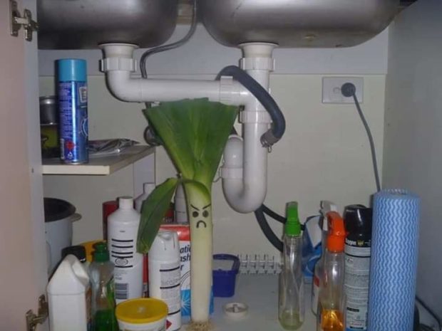 bellplumbing1's tweet photo. Man that's one serious leek! #FridayFunny
.
.
.
.
.
.
.
.
.
.
#plumbinglife #materplumber #hotwaterplumber #waterwiseplumber #leakdetection #secretharbourplumber #plumbersecretharbour #plumbingsecretharbour #secretharbourplumbing #secretharbour https://t.co/7cUlQ2bCiW