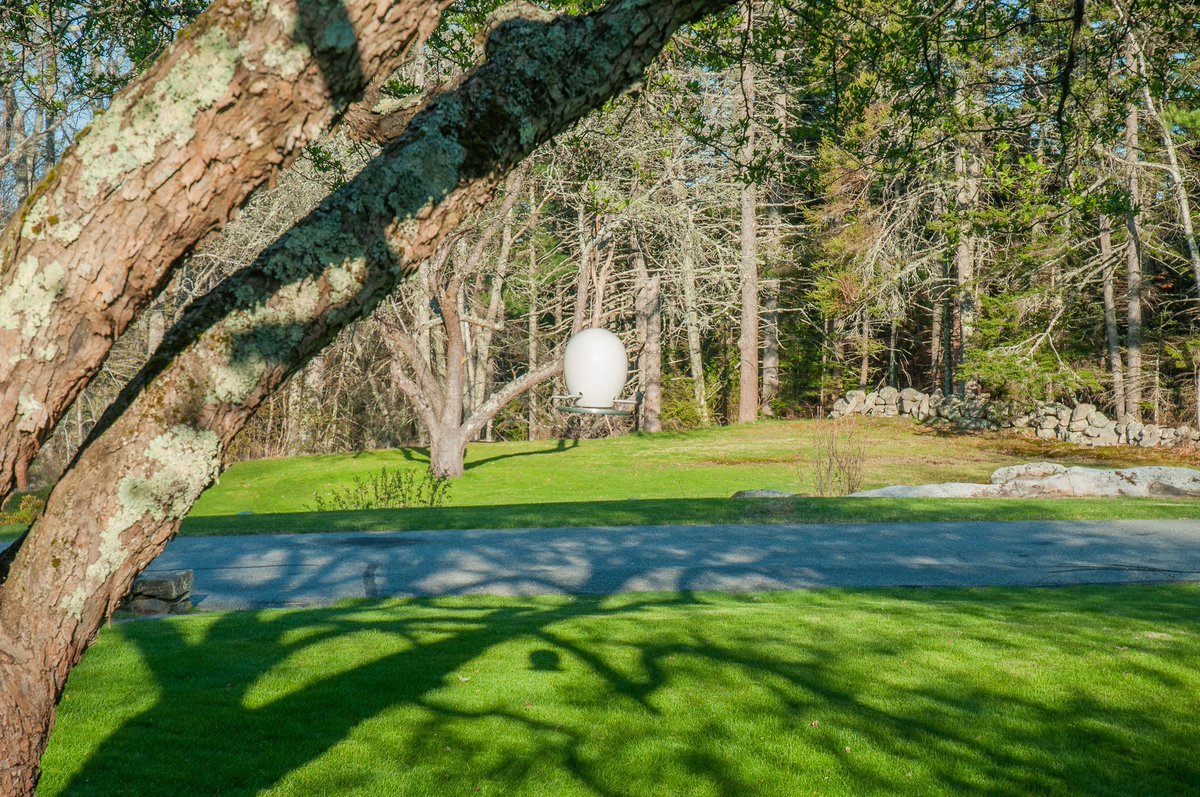 jschatzstudio's tweet photo. Light at the end of the day creates a dramatic line sketch on the front lawn, but only for a short time will this sketch be visible because the leaves are beginning to open and the branches will be hidden soon. #jschatz #magichour #thisismaine https://t.co/Q0UOQEEDPL