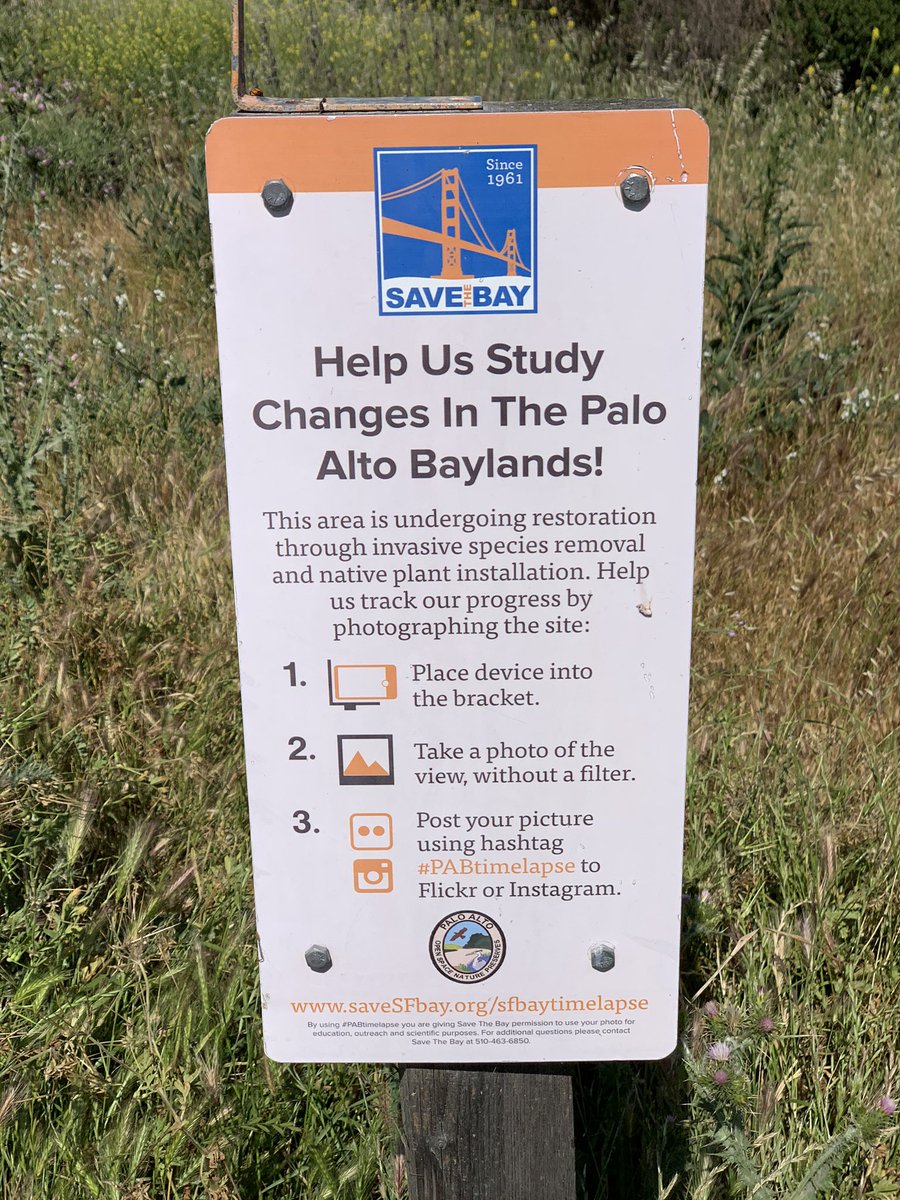 Help us study changes in the Palo Alto baylands. take a photo in this bracket so we can track invasive species