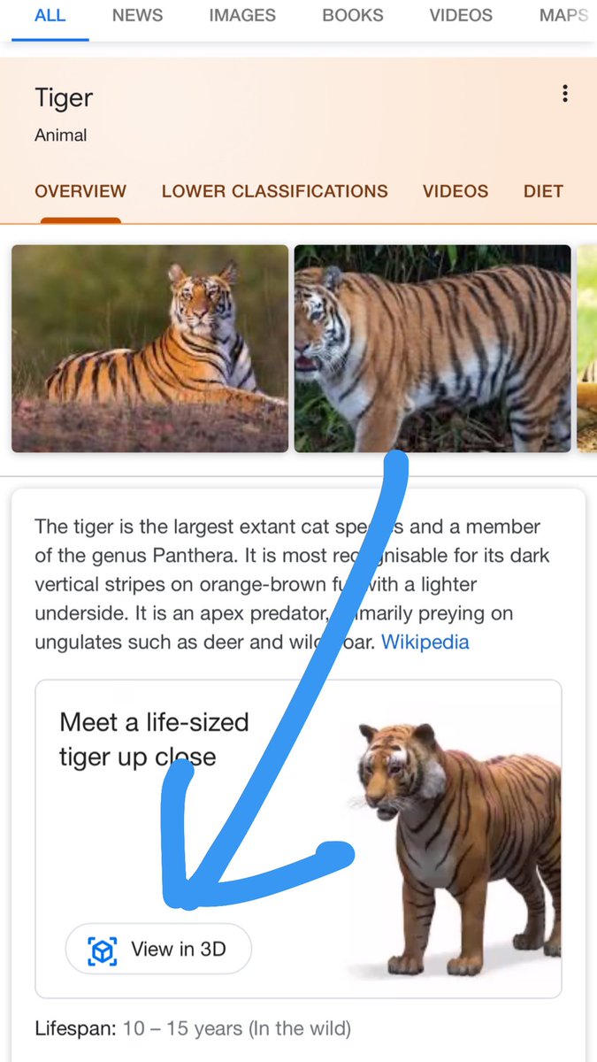 Try this! Type “tiger” in google and click the “view in 3D” and share your picture here! I want to see! Please share for everyone!