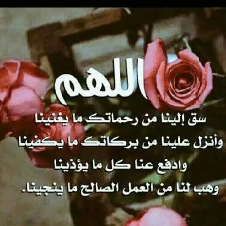 hafzsid's tweet photo. https://t.co/79eQ03k9im