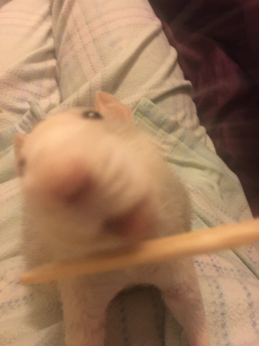 I love cleaning the stick