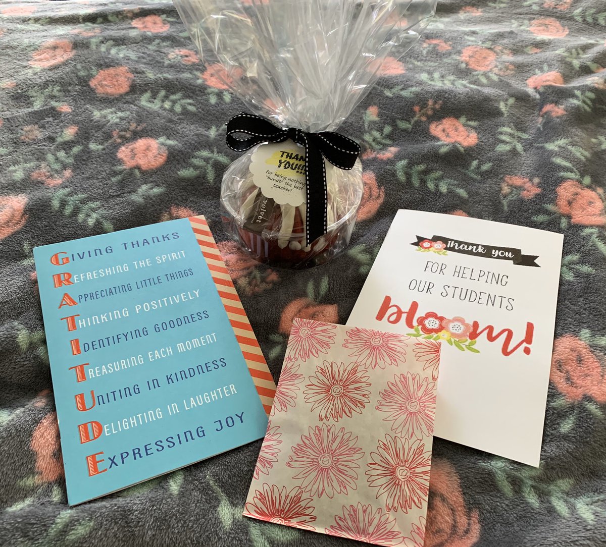 abennettmg's tweet photo. Teacher Appreciation Week 🍎#WeAreMG @MGUSC_Eagles @MGUSC_Goblins https://t.co/eEQB9Rb3Ny
