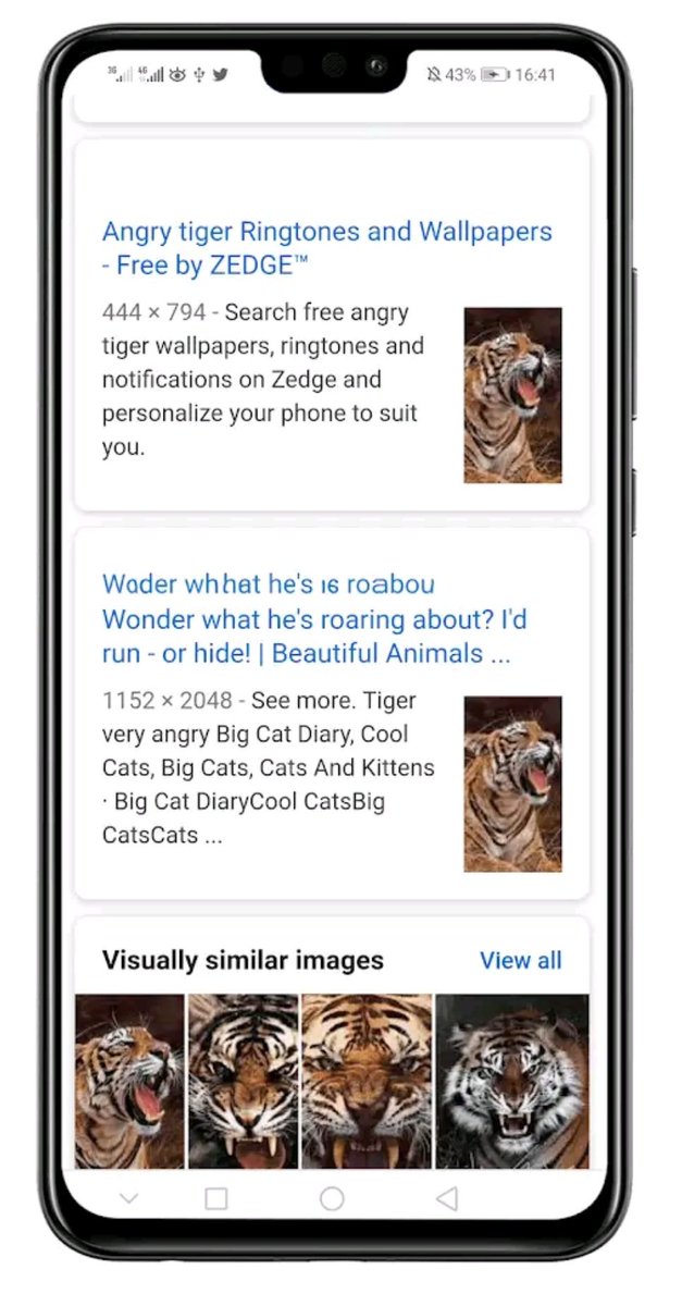 طلال 92 tweet media
