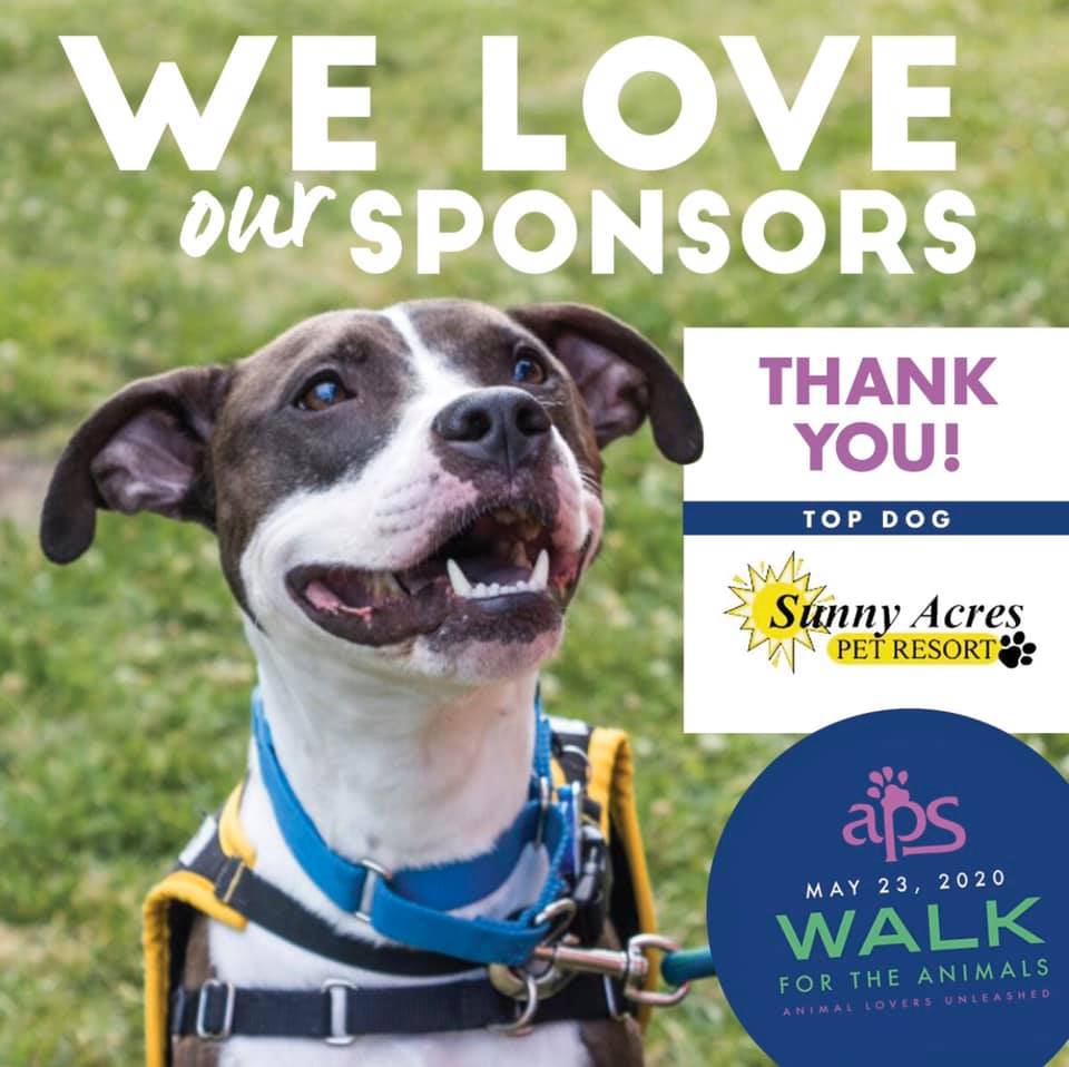 APSofDurham's tweet photo. 🗣 Saturday Sponsor Shout out 🗣
Today’s sponsor spotlight shines on Sunny Acres Pet Resort! 
They are still offering all services, so head to their website now. 

#BullCityStrong 
#WalkWithMe2020
#ShopLocalDurham

https://t.co/6YyWGgZzX4 https://t.co/H8xcr3vAGI