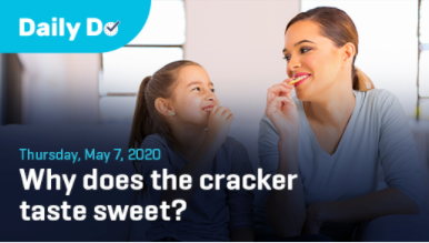 TdiShelton's tweet photo. Check out today's @NSTA #DailyDo Why does the cracker taste sweet? DDs are sensemaking tasks for home/distance and family learning #TNedchat #mschat #NGSSchat #LessonUP #NSTA20 https://t.co/832znqt1ks