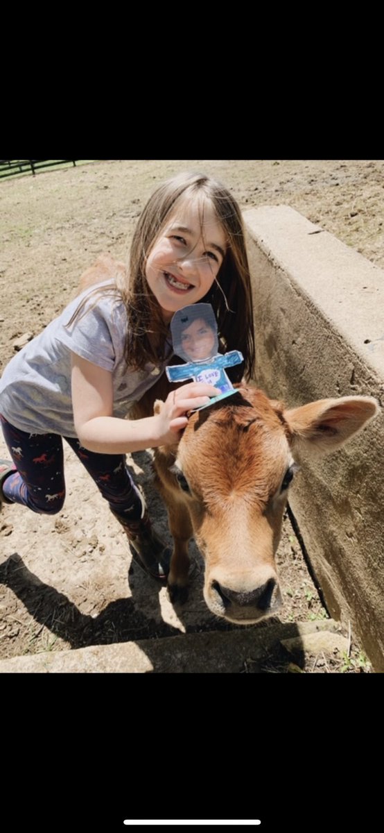 Laurie Collacchi tweet media