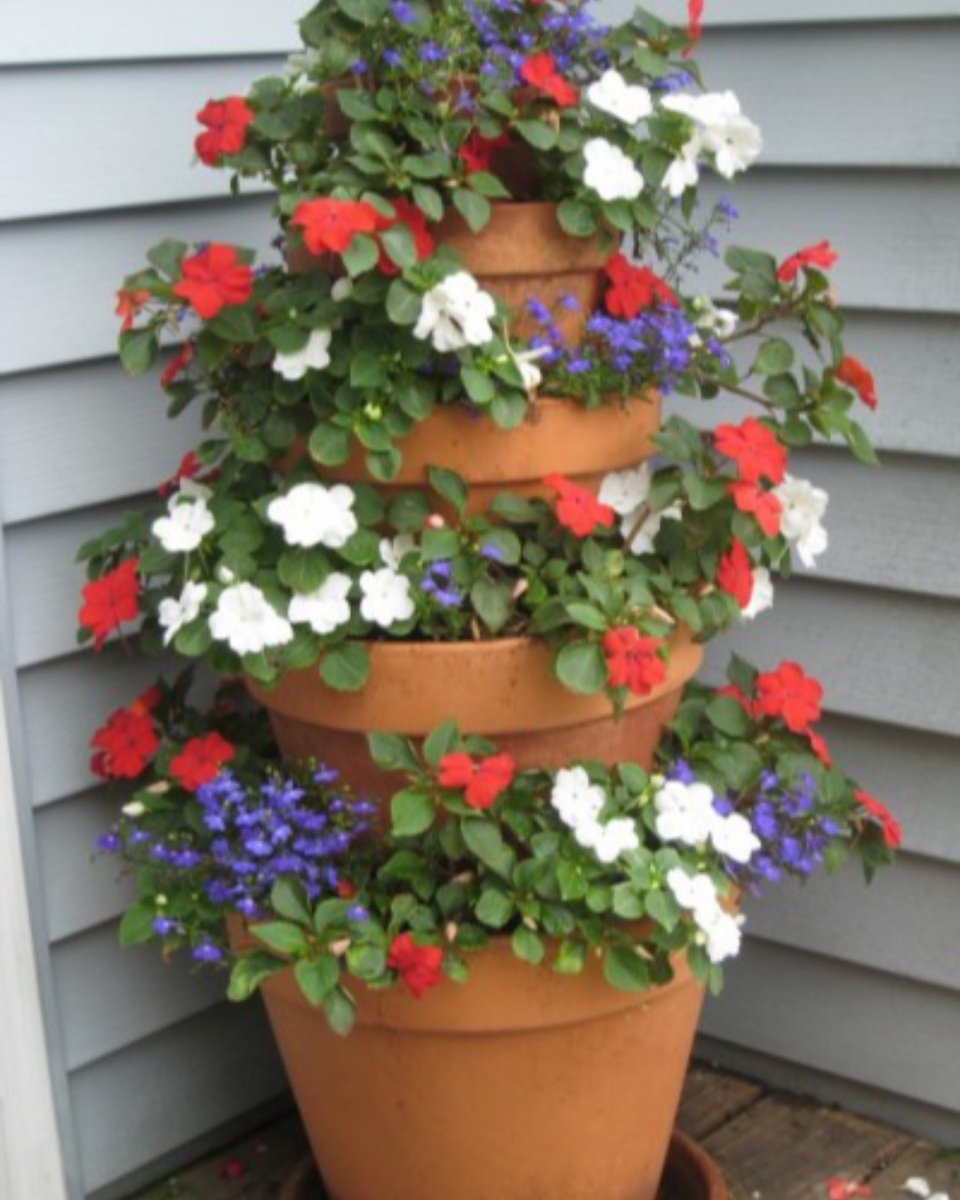 teamhaig's tweet photo. More Patio Flower Ideas https://t.co/sE8vl8GABa