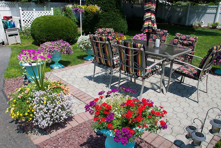 teamhaig's tweet photo. More Patio Flower Ideas https://t.co/sE8vl8GABa