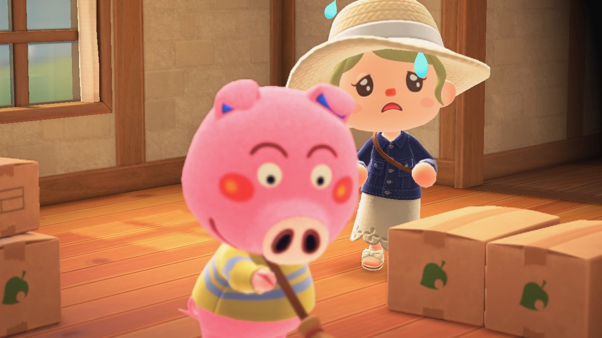 N0pi__'s tweet photo. #どうぶつの森 #AnimalCrossing #ACNH #NintendoSwitch https://t.co/GNy3PcXIJa