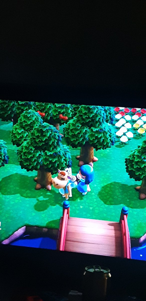 pingoteniss's tweet photo. My resident walker is giving lily crown diy and celeste plus sahara are here. #acnh appreciate if u can donate star frags or beach items. Dm or coment for #dodocode #dodocodes https://t.co/4NwCd7IgYZ