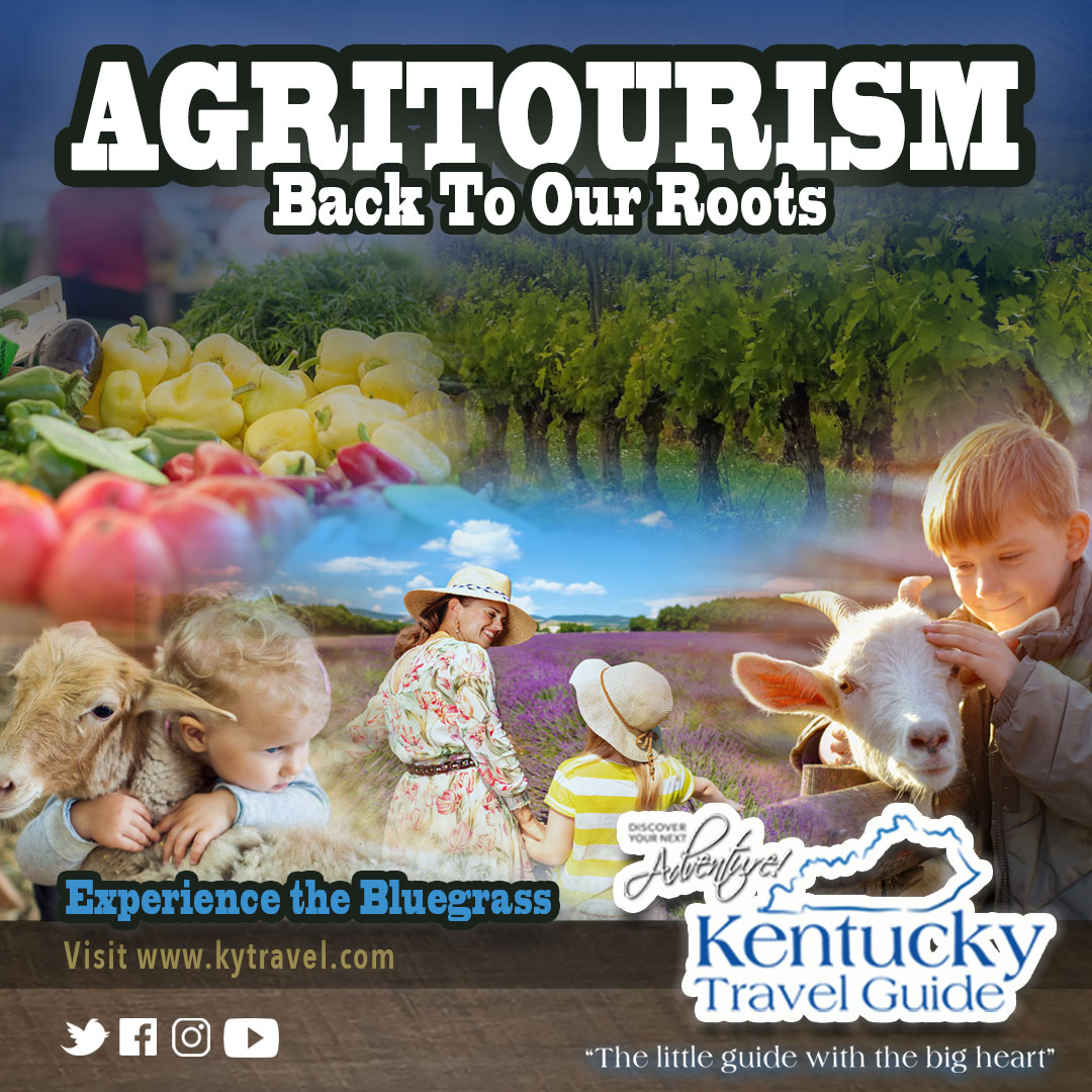 When Kentuckiana opens up again &amp; we are free to travel to local attractions, maybe you will have a new appreciation for our local producers &amp; what you can learn from them by visiting their location for events, tours, &amp; purchasing local products.kytravel.com/blogs #kytravel