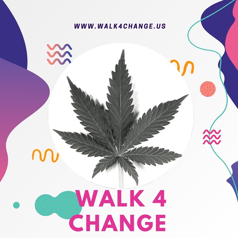 Walk4ChangeUS tweet picture