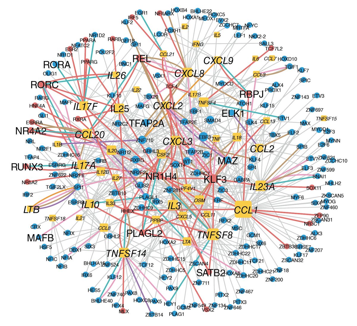 Juan Fuxman Bass tweet media