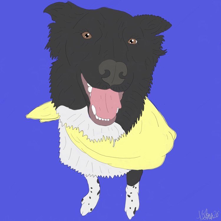 ohheyycailee's tweet photo. y’all i’m obsessed @_gabrimusic  painted my pup😍 https://t.co/eYt4nFGLJj