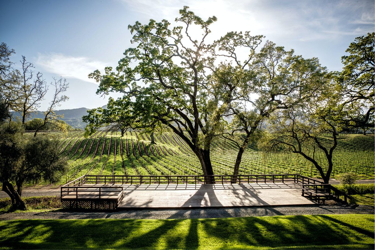 Priority Wine Pass tweet media