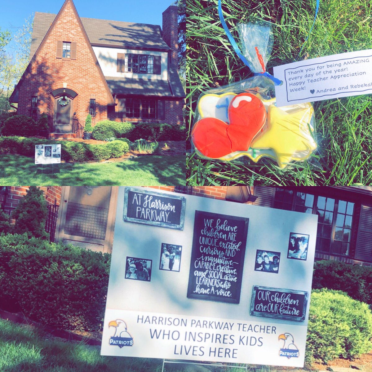 Sarah Kucera tweet media