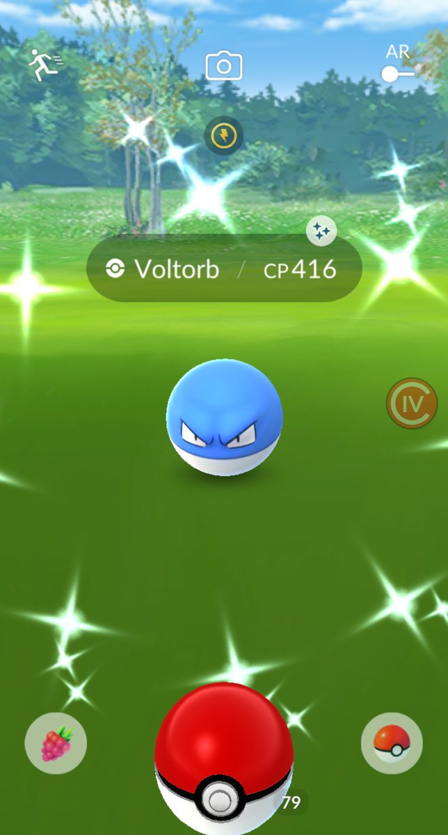 SenpaiChapin's tweet photo. RT Kelven91: Shiny Voltorb is now available for Safari Zone Philadelphia ticket holders !
#PokémonGO https://t.co/wfrh7WGIFI #Pokemongo #pokemongogt