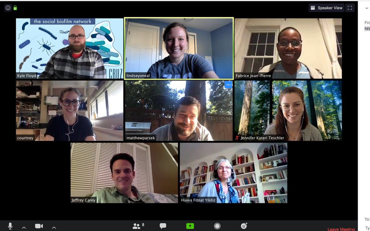 Social_Biofilms's tweet photo. It's time! Register for The Social Biofilm Network's first ever virtual biofilm conference (June 1-5, 2020)! The organizers are so excited! Thanks @MattParsek @CourtReichhardt @JeffreyNC @kafloyd06 @FabriceJPierre !
 #biofilms2020
https://t.co/6YXx5VNgTS https://t.co/DfgrCi4ONj