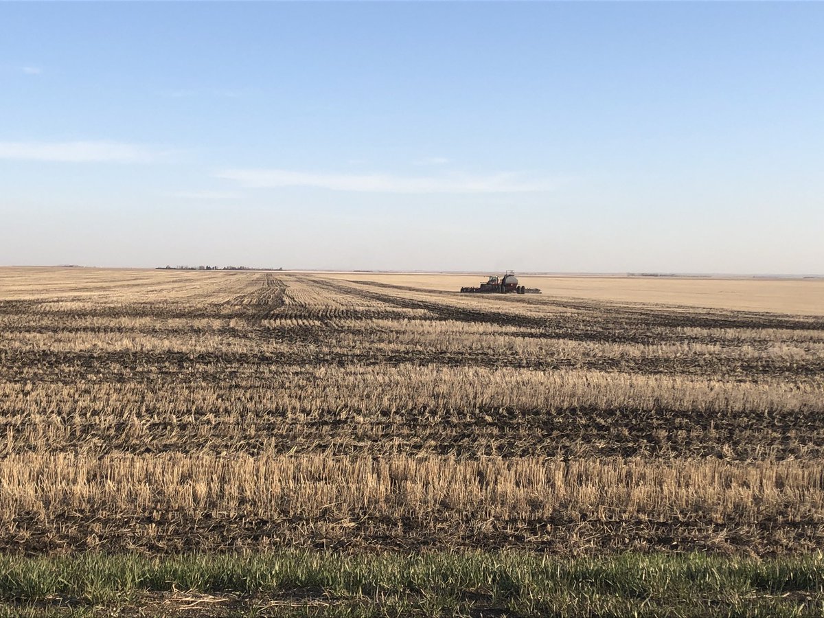 cilla_hanley's tweet photo. When @ryehanley learns how to drive minus auto steer!  Day 1 on peas #plant20 https://t.co/33bFi05k4T