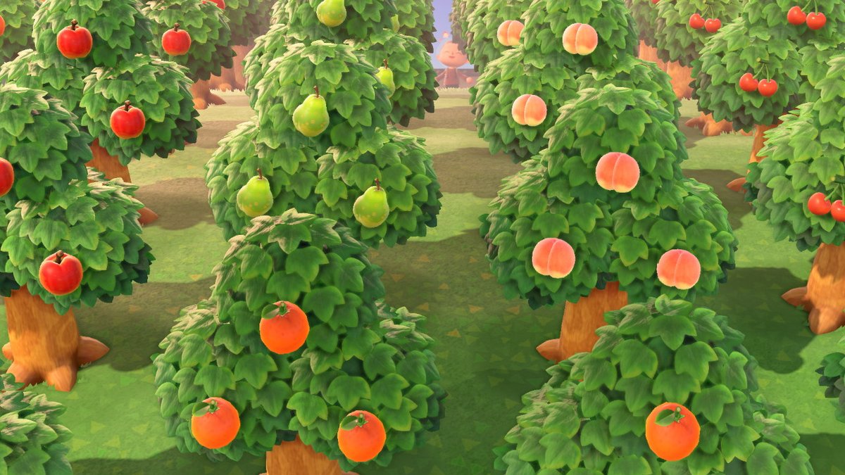 Half_Oz's tweet photo. 5 Star Town 3
 #AnimalCrossing #ACNH #NintendoSwitch https://t.co/vM9i5Jcokq
