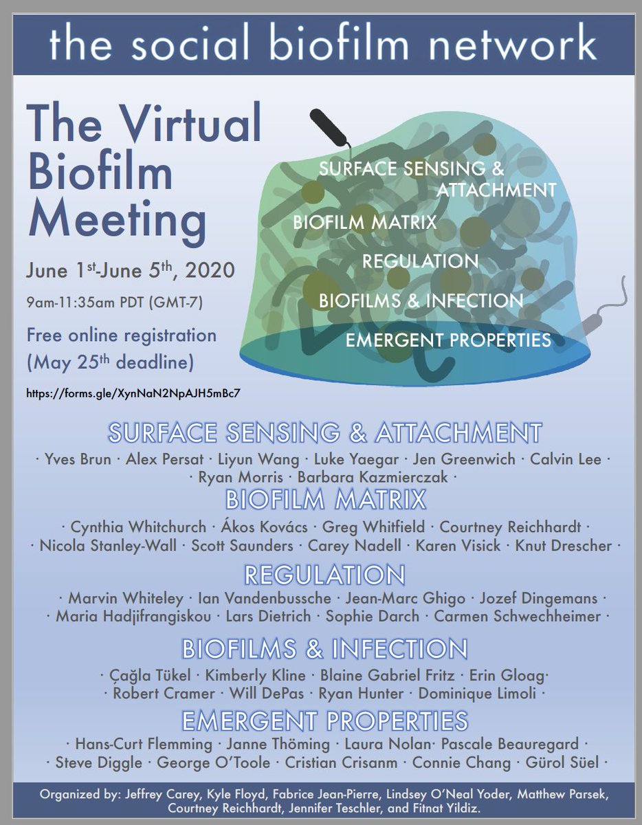 Social_Biofilms's tweet photo. It's time! Register for The Social Biofilm Network's first ever virtual biofilm conference (June 1-5, 2020)! The organizers are so excited! Thanks @MattParsek @CourtReichhardt @JeffreyNC @kafloyd06 @FabriceJPierre !
 #biofilms2020
https://t.co/6YXx5VNgTS https://t.co/DfgrCi4ONj