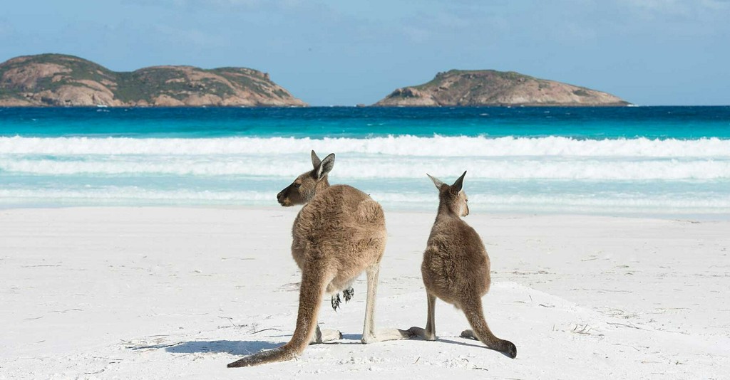 TravelLeisure's tweet photo. Want to get away? Take a 13-day virtual vacation to Australia right now (and see a few kangaroo-filled beaches along the way!) https://t.co/Oi45e53cjW https://t.co/lpWKDaIlK9