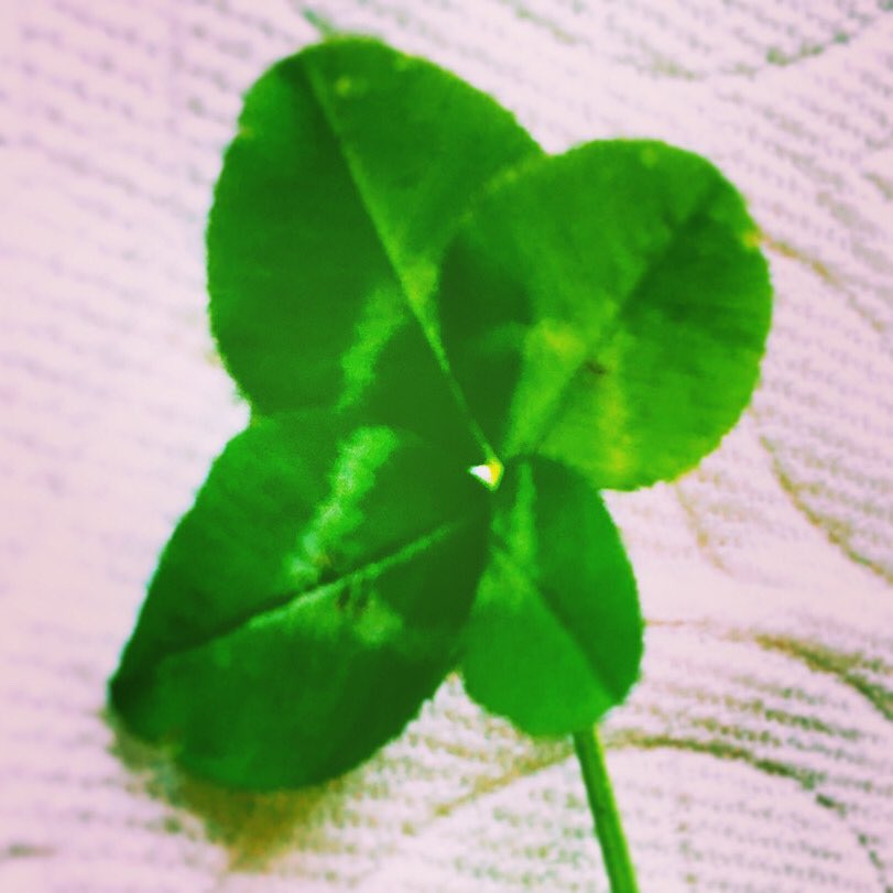 Baumring1's tweet photo. https://t.co/sAlDxd8No6