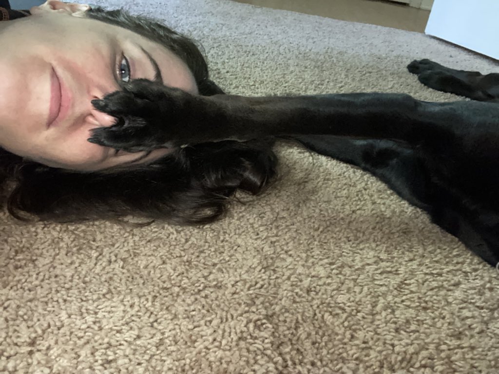 UnderwaterLance's tweet photo. #mylifeinpictures My dogs have gotten very needy. The biggest struggle is when I try to do physical therapy. #facepaw https://t.co/EcN0uY58Eq