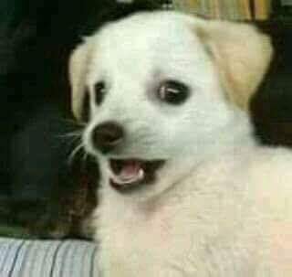 rociobth's tweet photo. yo viendo la parte donde Miley se saca la peluca y aparece hannah montana como si fuera la primera vez q veo la pelicula https://t.co/qlqzPsHLB8