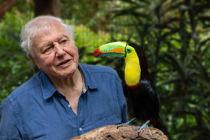 srpeatling's tweet photo. Happy 94th birthday to David Attenborough. https://t.co/hO7lVbMEhM