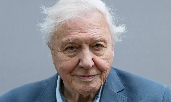 srpeatling's tweet photo. Happy 94th birthday to David Attenborough. https://t.co/hO7lVbMEhM