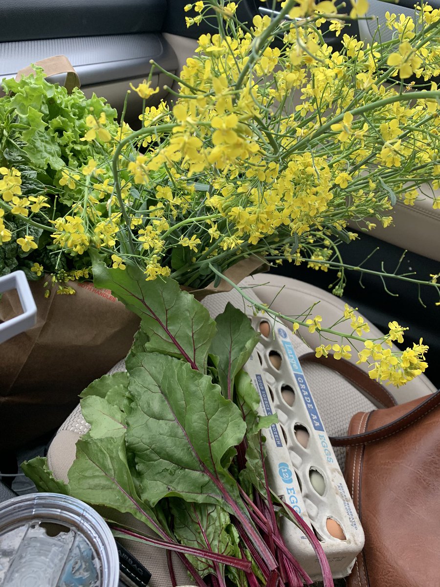 smartipants413's tweet photo. #Permaculture @OmaPermaculture #GreenHouse My produce haul! https://t.co/c10jsXzlW0