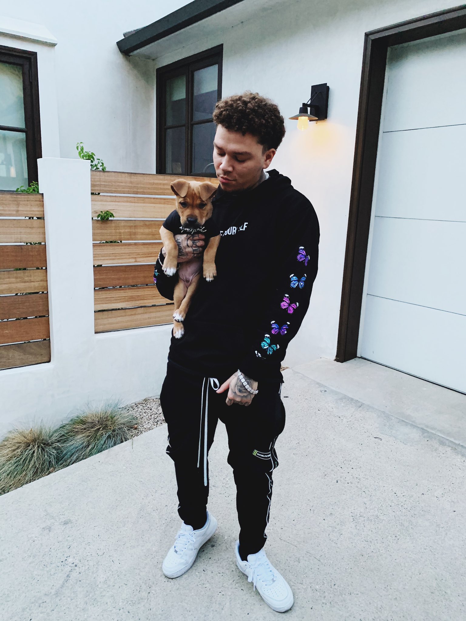 Yours Truly Clothing on X In addition to our accessories since so many of you requested pet clothing we will be dropping these Blue Butterfly Pet Hoodie Yours Truly Pet Hoodie