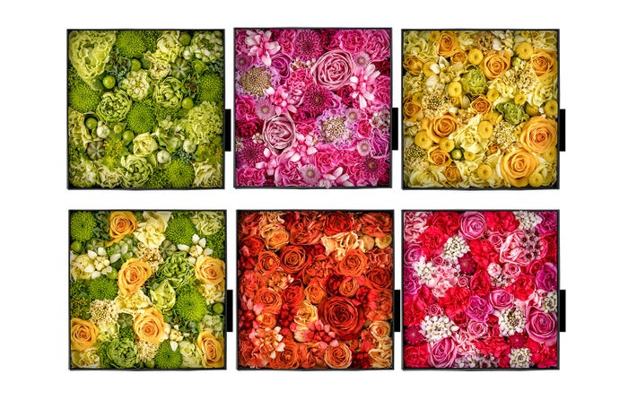 modelpress's tweet image. ＼ありがとう をお花に込めて／

#STAYHOME にぴったりな「Flower Letter」って？［PR］

#母の日 #FlowerLetter

▼記事詳細はこちら

mdpr.jp/column/detail/…