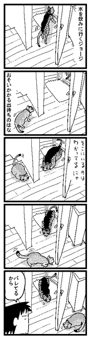 326 ばればれはな 