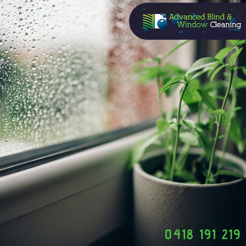 AdvancedBlinds's tweet photo. Will I Have To Reschedule If It Is Raining?

No. We clean blinds and windows whether its rain hail or shine so there is no need to reschedule due to weather conditions.

📞Phone - 0418 191 219
📩Email - craiglambert9@hotmail.com
https://t.co/2uftPsMVeb
#windowcleanersbrisbane https://t.co/8O3XhEd4L3
