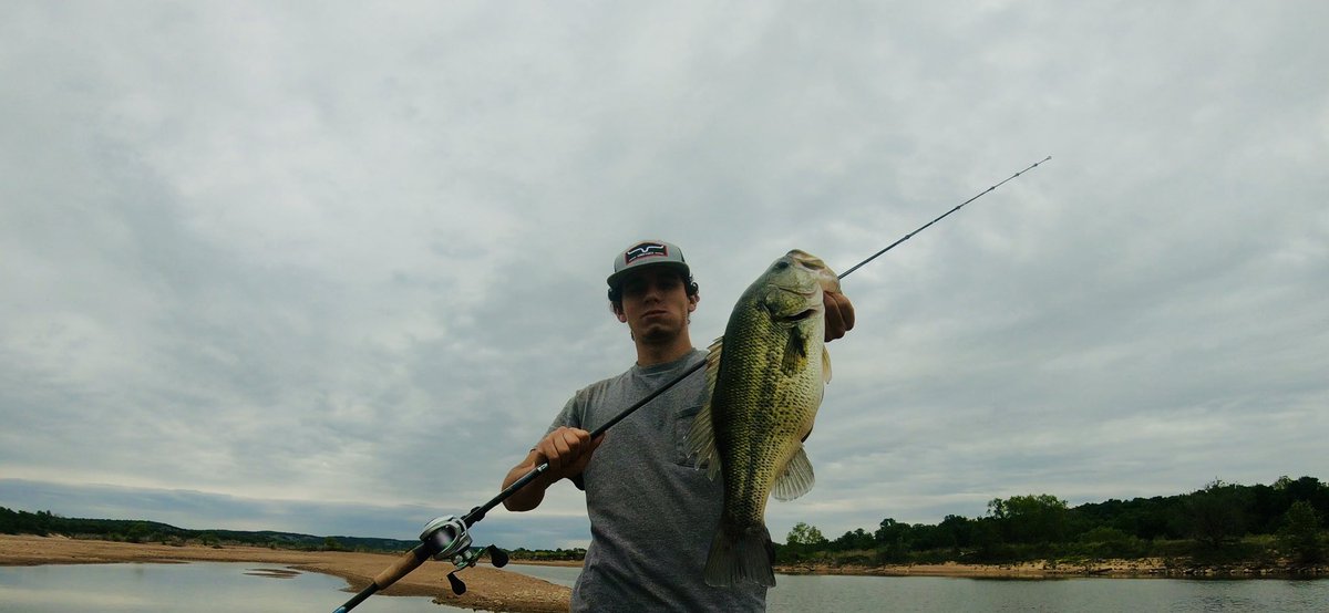 JakeAlan__'s tweet photo. Fish. https://t.co/P3ZUMeay31