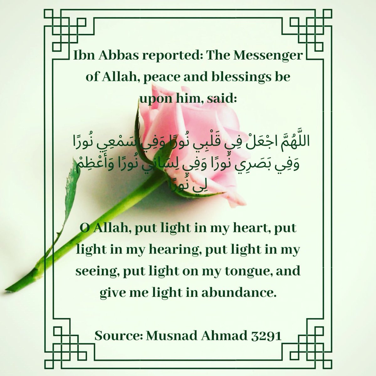 crescentetstar's tweet photo. The Messenger of Allah (pbuh) said: “O Allah! Put light in my heart, put light in my hearing, put light in my seeing, put light on my tongue and give me light in abundance.” (Musnad Ahmad 3291) #islamicquotes #allah #prophetmuhammad #love #share #prayer #believe #godisone https://t.co/sIsmWEkxfS