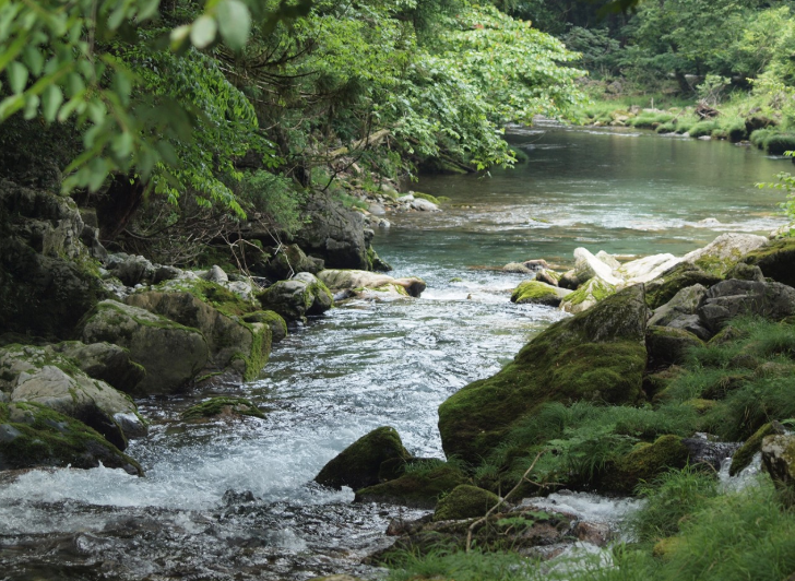 風水 Com Fuusuikantei Twitter