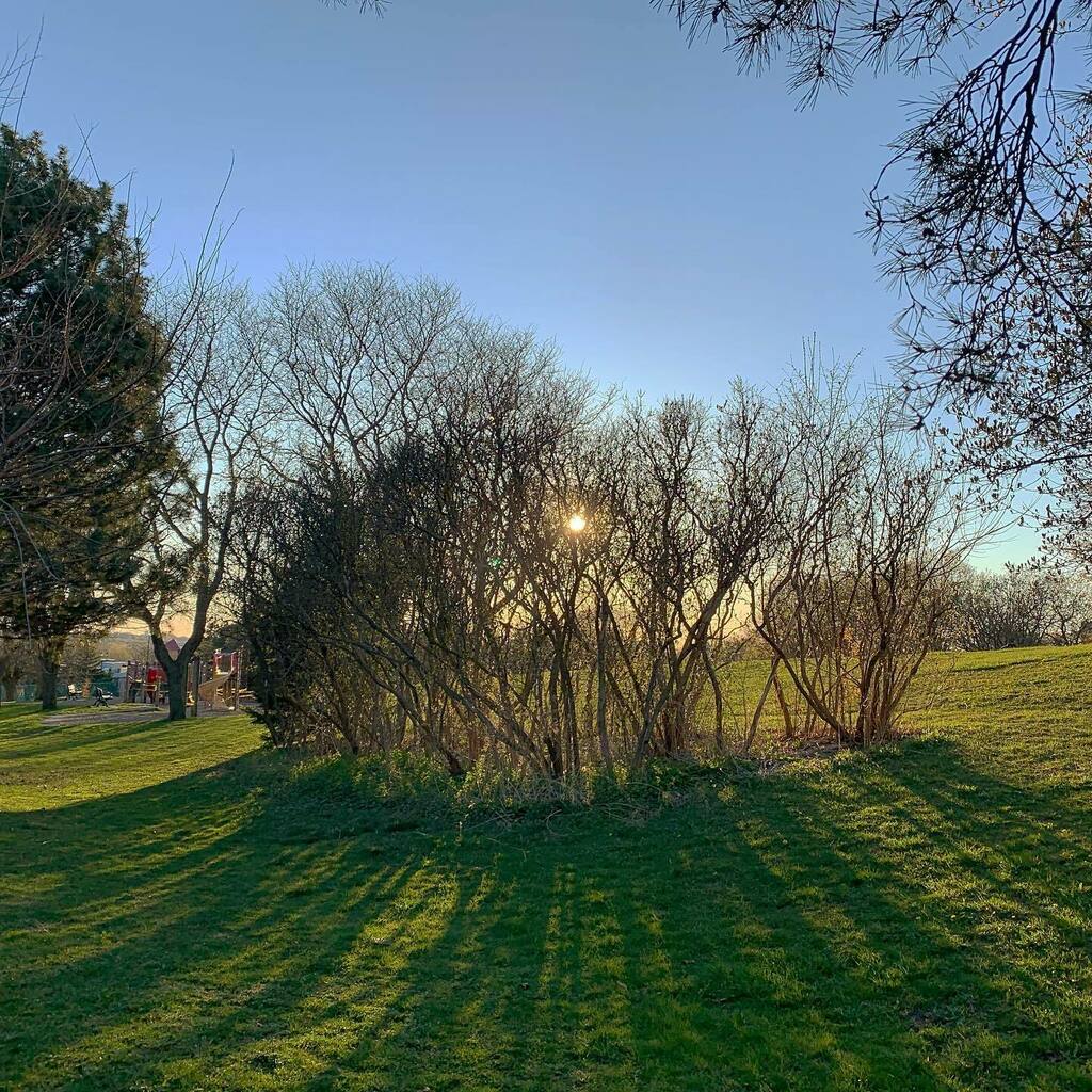 TeacherMomOfTwo's tweet photo. Grateful for brisk sunset walks with the family and the awesome beauty of Mother Nature.
#sunsetinthepark
#familywalk
#spring2020
#lifeinTO
#twittergram https://t.co/zyGR411KPe https://t.co/dVcwAZDBug